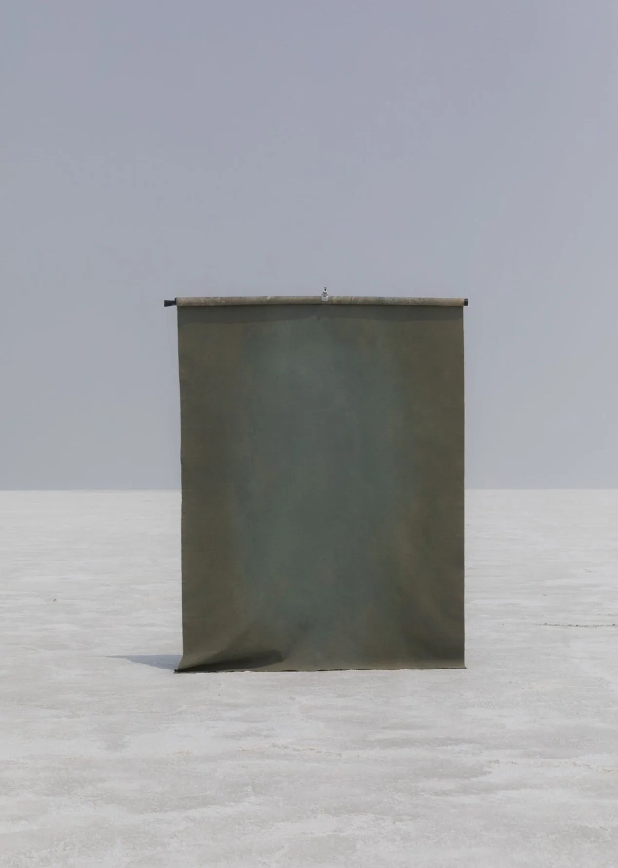 Agave and Opal #0233 // XLarge Hand-Painted Canvas Backdrop