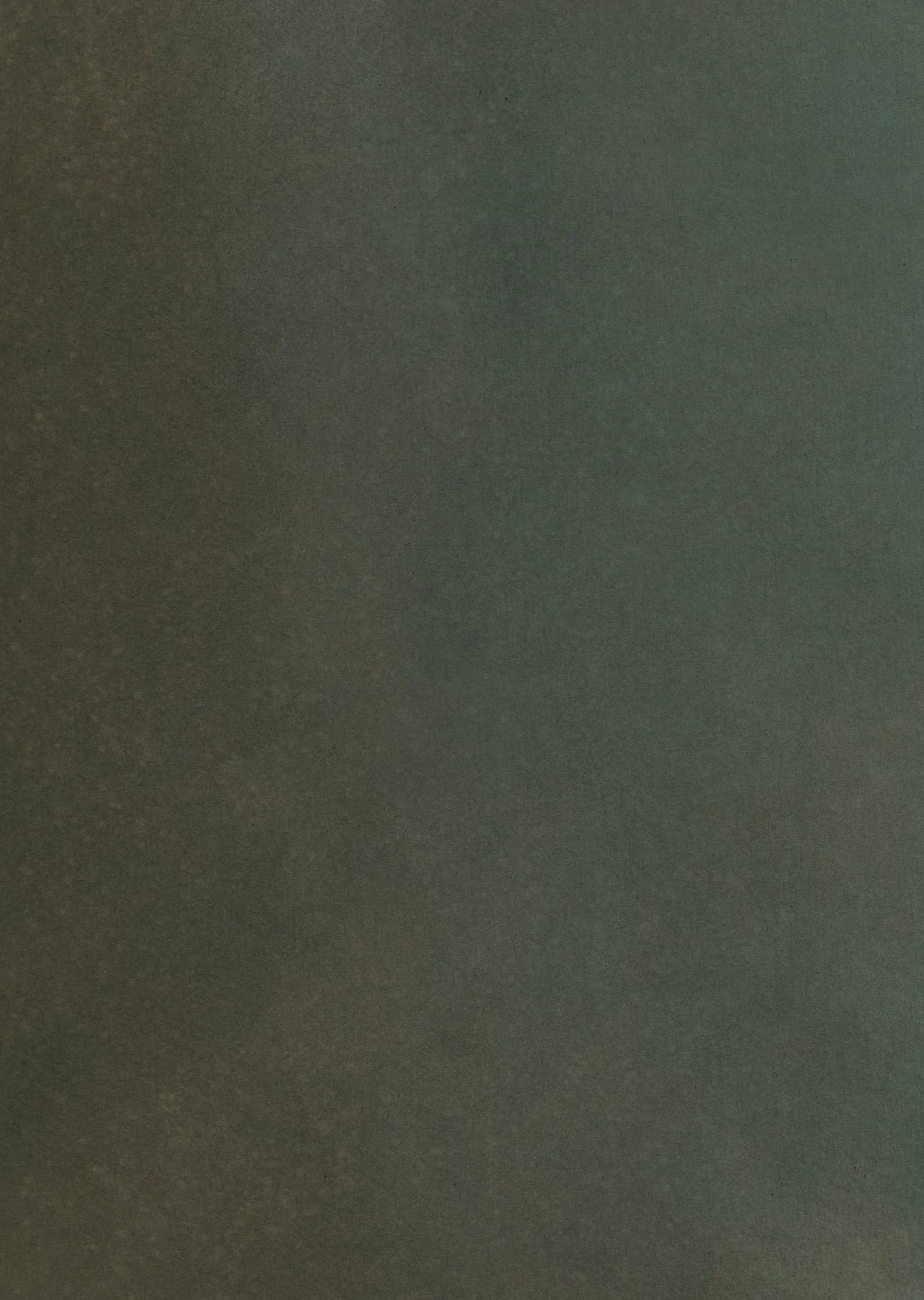 Agave and Opal #0233 // XLarge Hand-Painted Canvas Backdrop