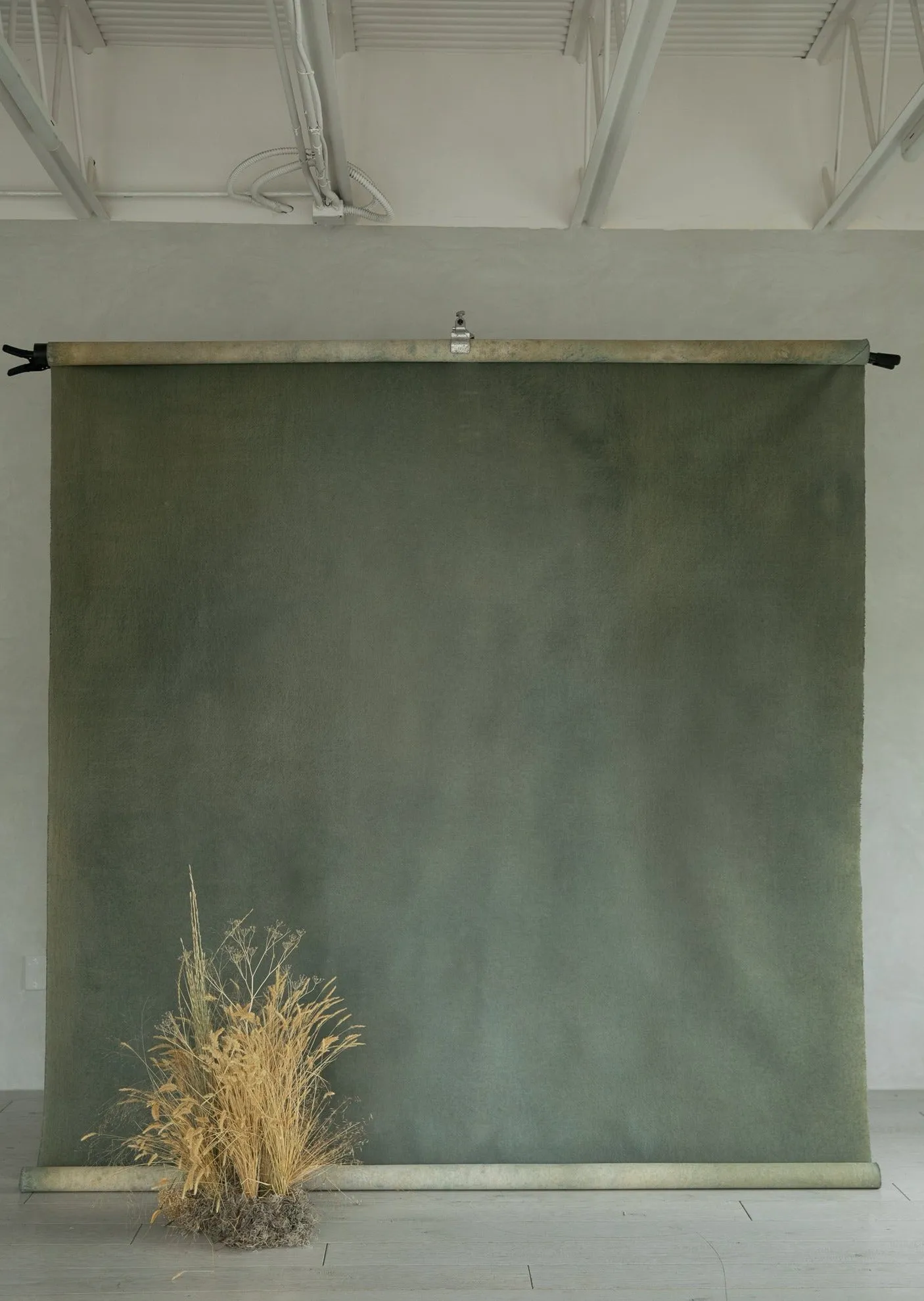 Brushed Eucalyptus #0269 // XLarge Hand-Painted Canvas Backdrop
