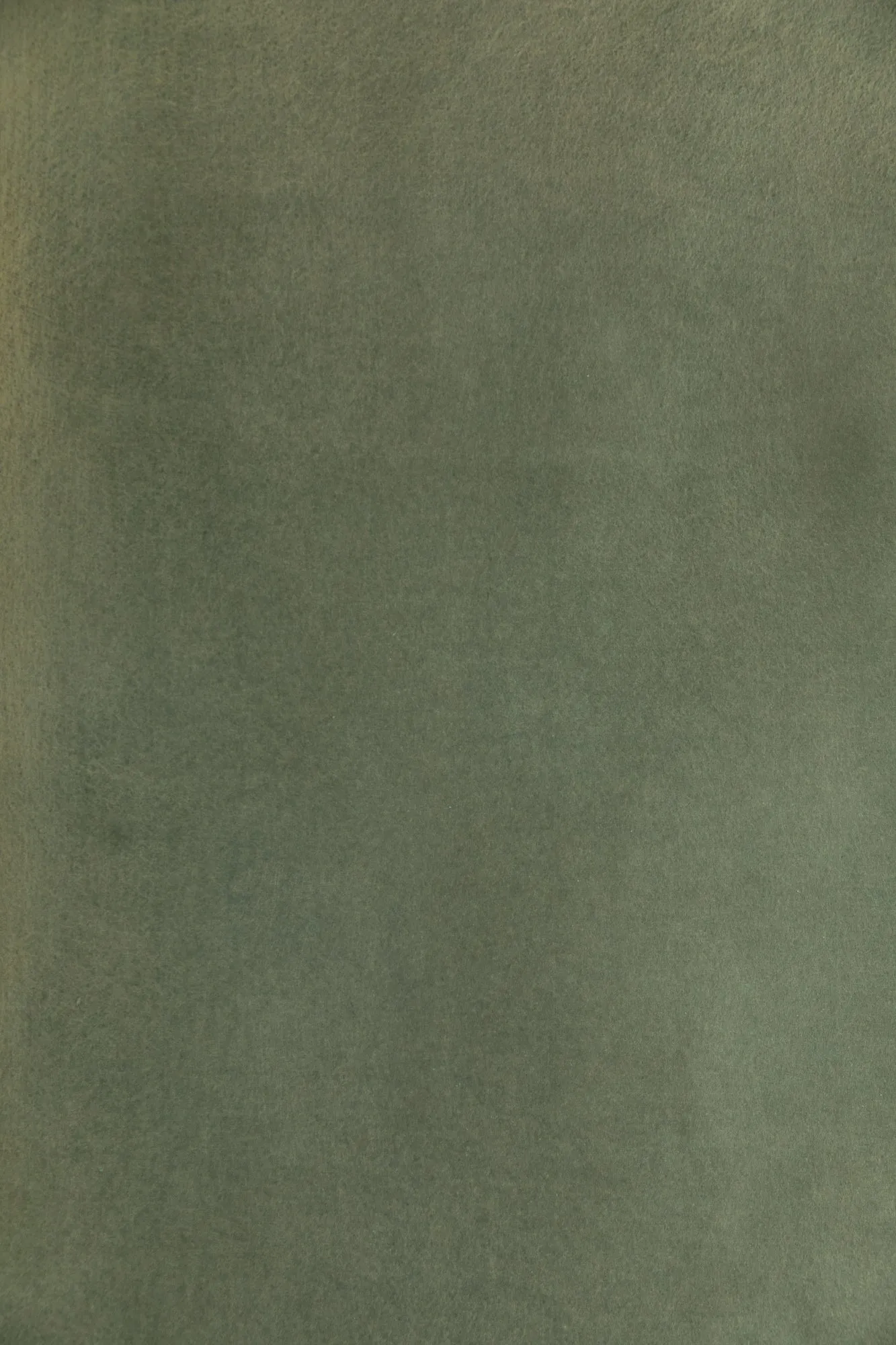 Brushed Eucalyptus #0269 // XLarge Hand-Painted Canvas Backdrop