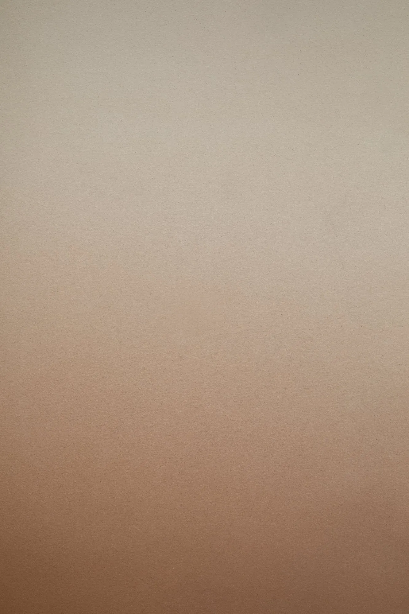 Cappuccino #0237  // XLarge Hand-Painted Canvas Backdrop