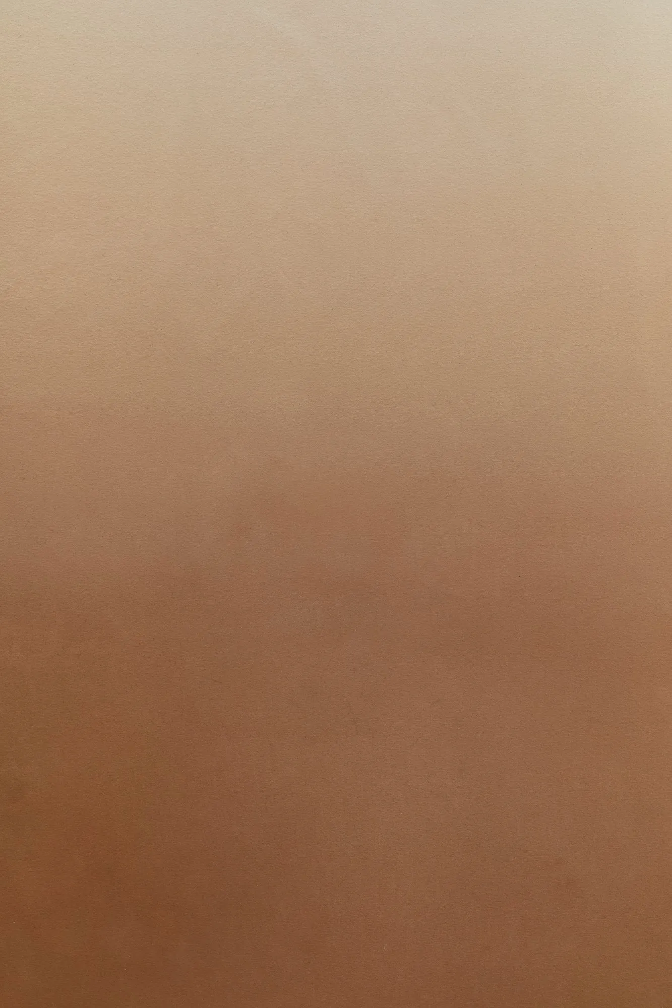 Cappuccino #0237  // XLarge Hand-Painted Canvas Backdrop