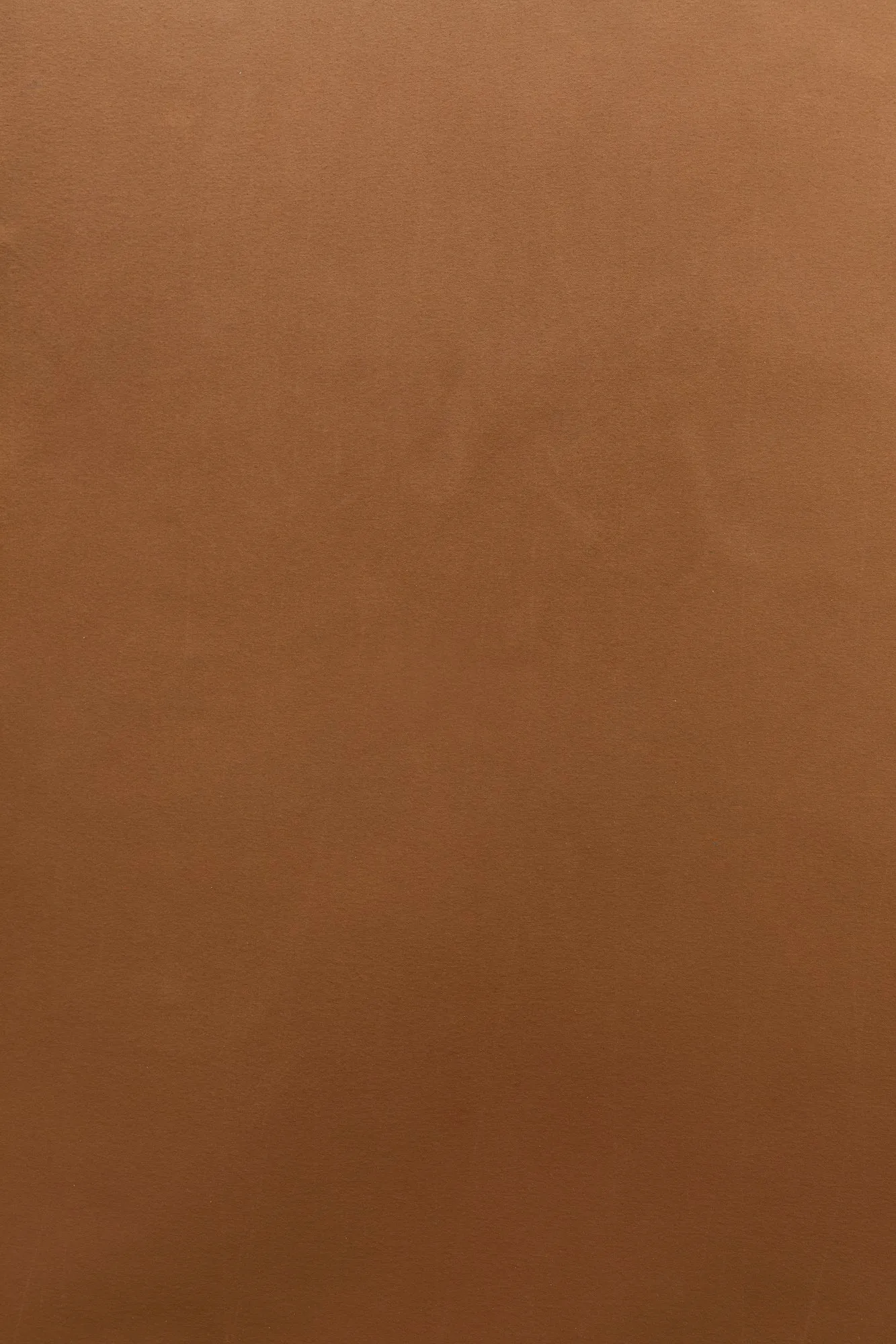 Cappuccino #0237  // XLarge Hand-Painted Canvas Backdrop
