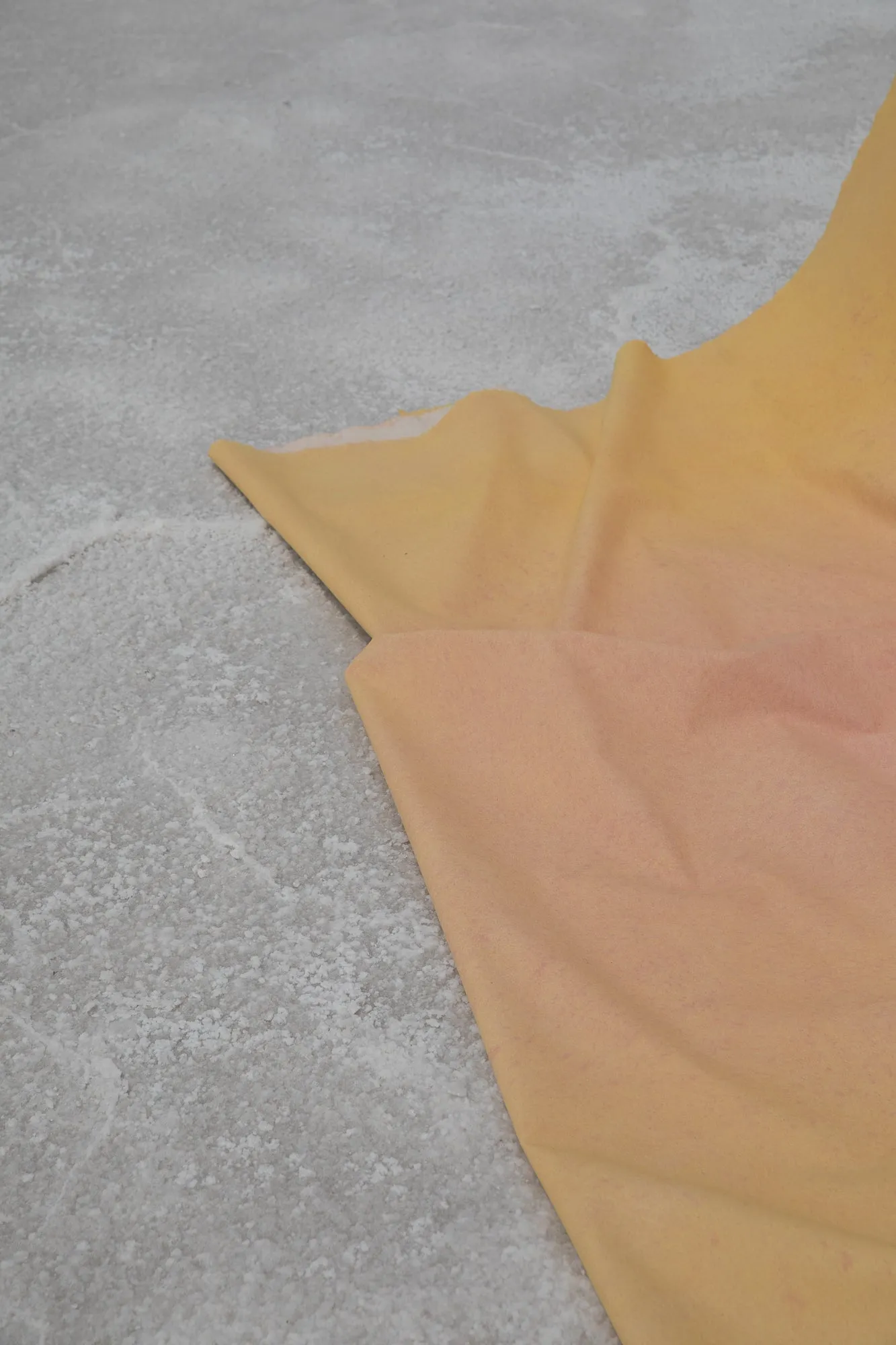 Citrus Addiction #0236 // XLarge Hand-Painted Canvas Backdrop