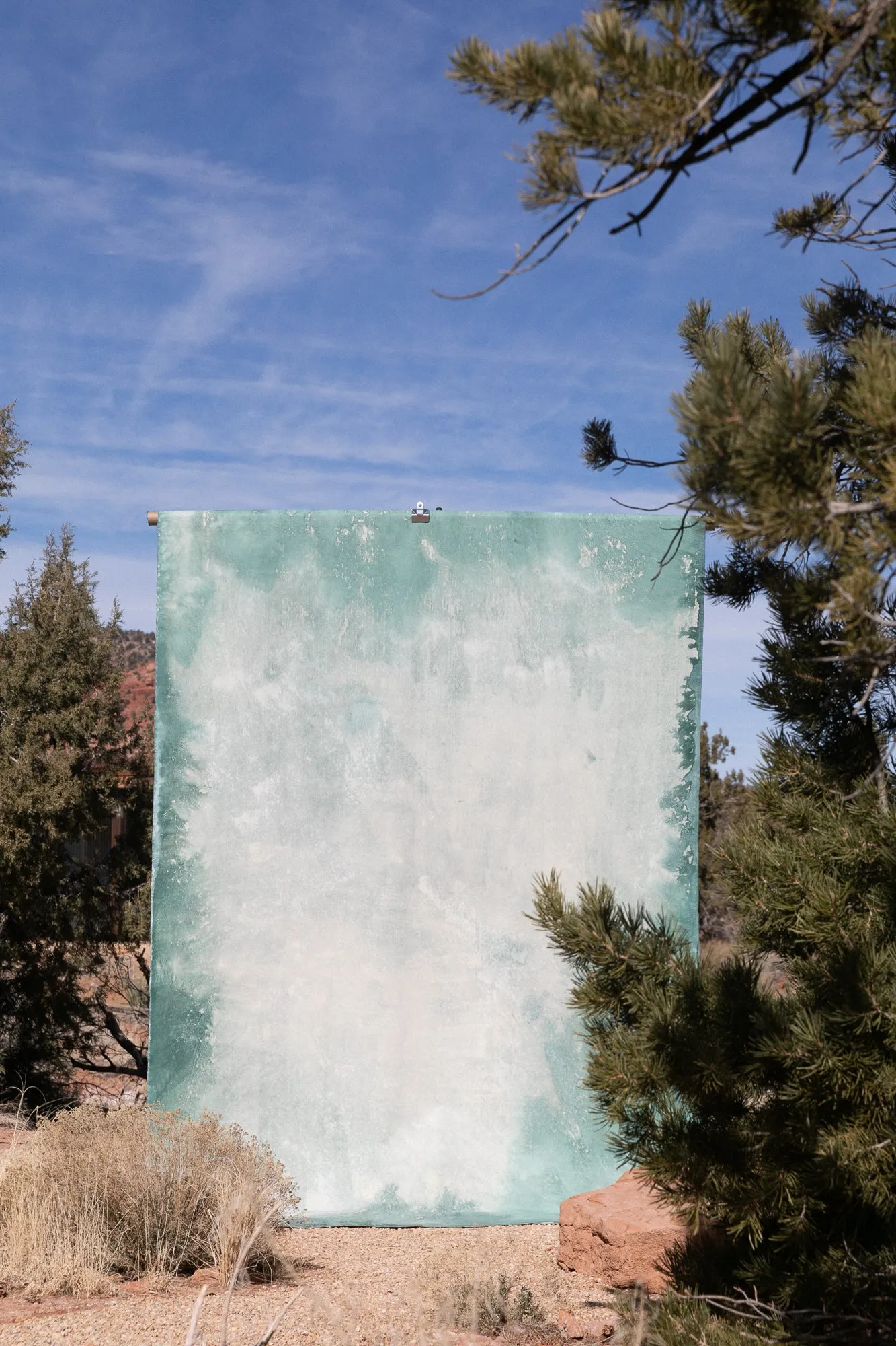 Euphoria #0412 Double-Sided XLarge Hand-Painted Canvas Backdrop