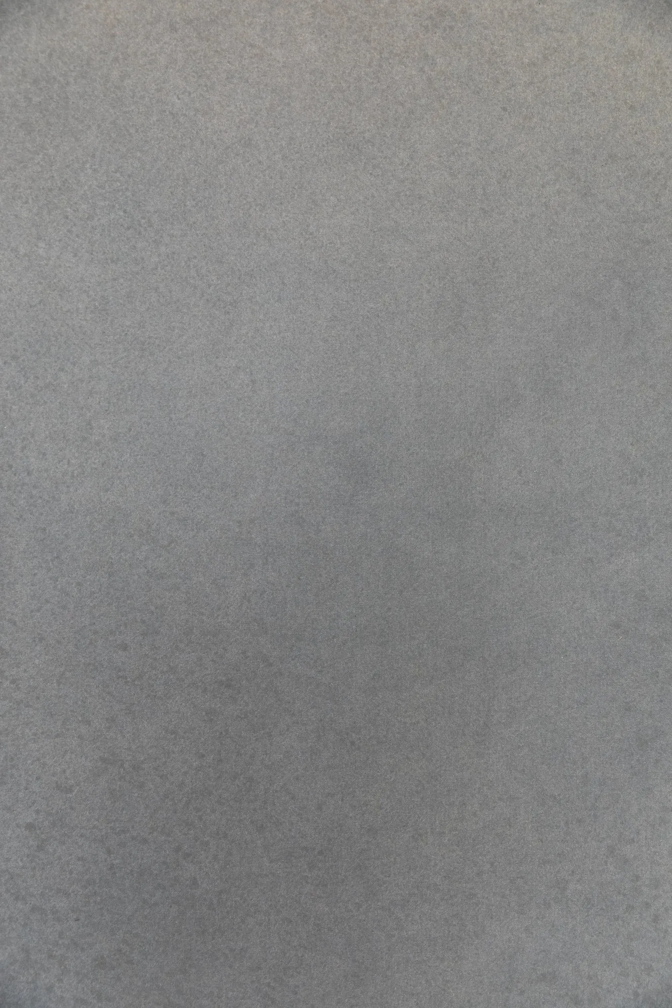 Everyday Gray #0271 XLarge Hand-Painted Canvas Backdrop
