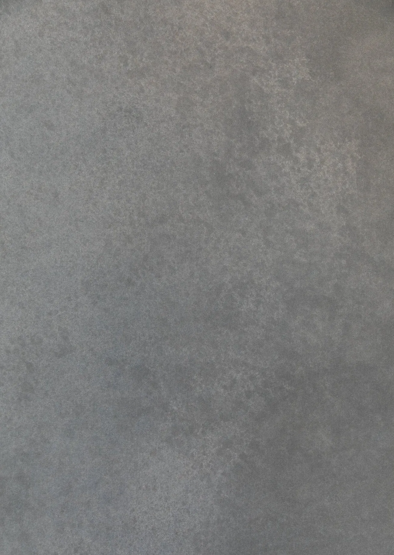 Everyday Gray #0271 XLarge Hand-Painted Canvas Backdrop