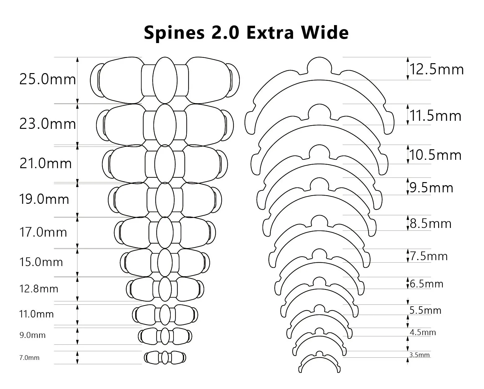 Extra Wide Rib/Spine