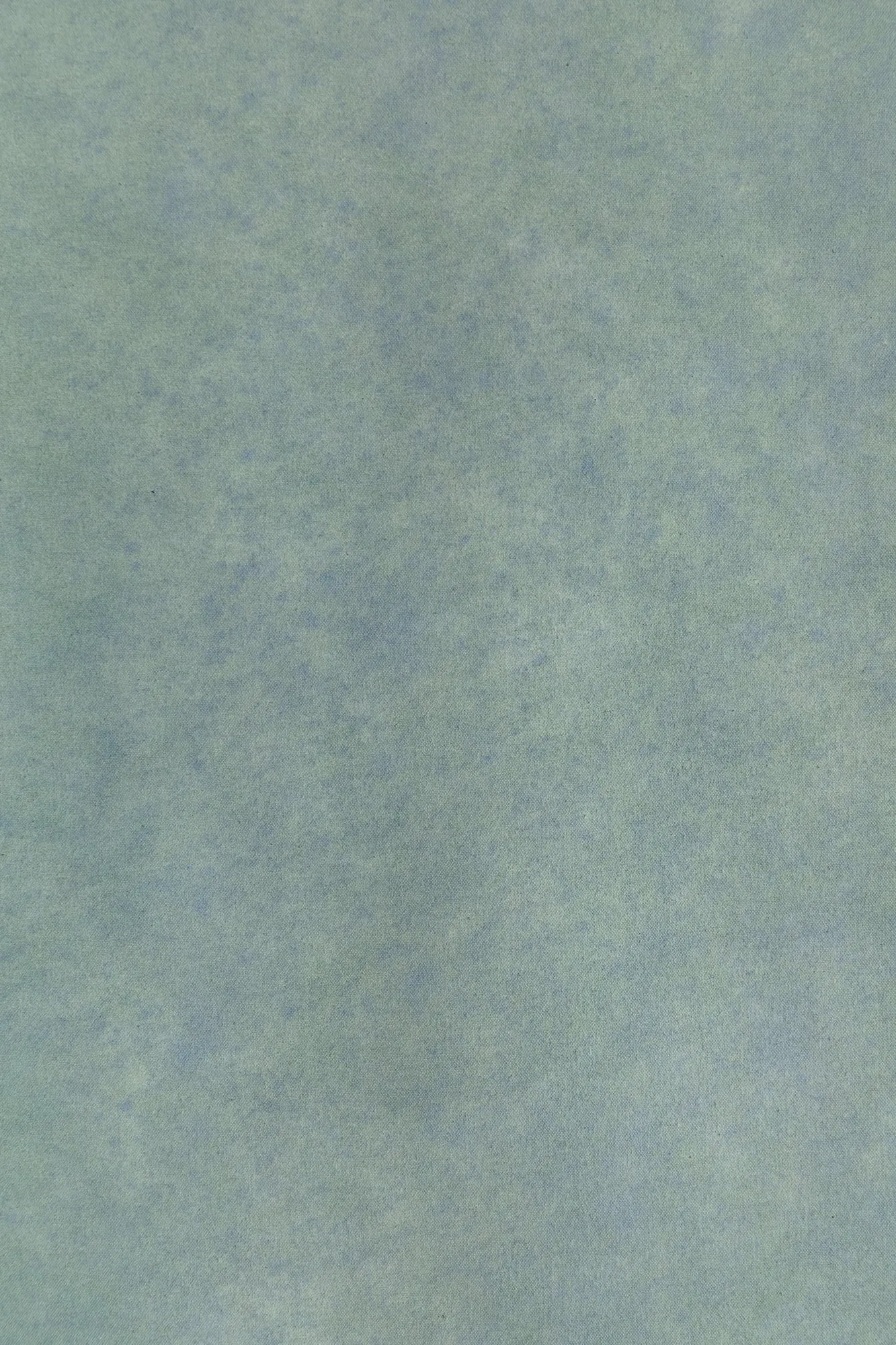 Foothill Sage x Heather Nan #0286// XLarge Hand-Painted Canvas Backdrop